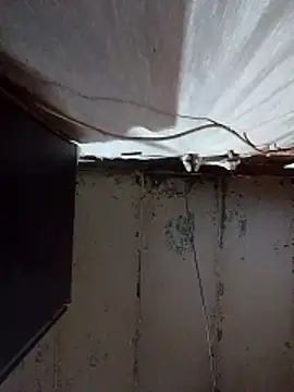 Snapshot of Mashaps2384 chatting on 03/05/26, 08:43 Mashaps2384 online show from 03/05/26, 08:43