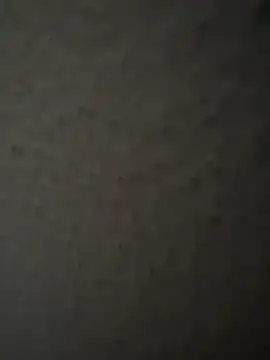 Snapshot of MIABCDZ chatting on 05/12/26, 01:58 MIABCDZ online show from 05/12/26, 01:58