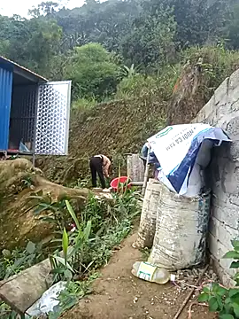 dualeo11 online show from 03/12/26, 06:19