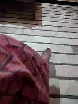 Tamillaxmi12 online show from 03/01/26, 03:58