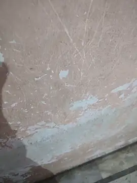 Tamillaxmi12 online show from 04/16/26, 12:44