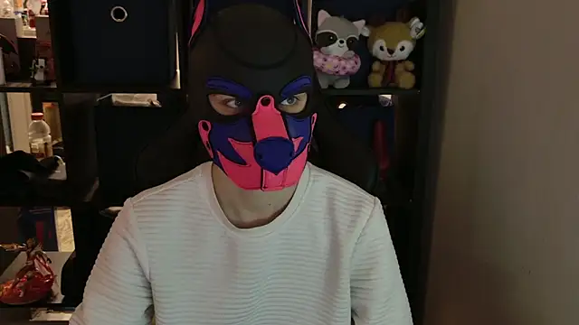 MellPUP online show from 04/20/26, 12:08