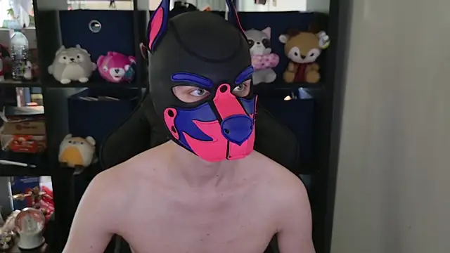 MellPUP online show from 04/30/26, 06:03