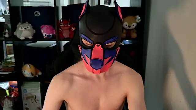 MellPUP online show from 06/08/26, 08:42