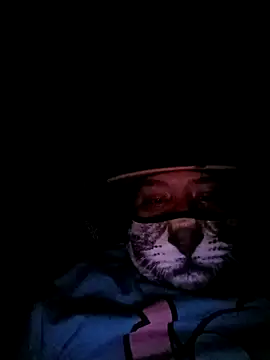 Charlygunslove online show from 03/03/26, 01:34