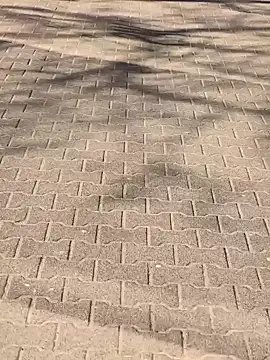 MarekPublicShow online show from 03/06/26, 01:18