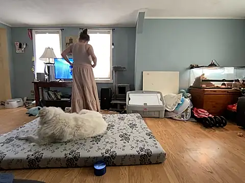 highimmaryjane online show from 03/25/26, 04:46