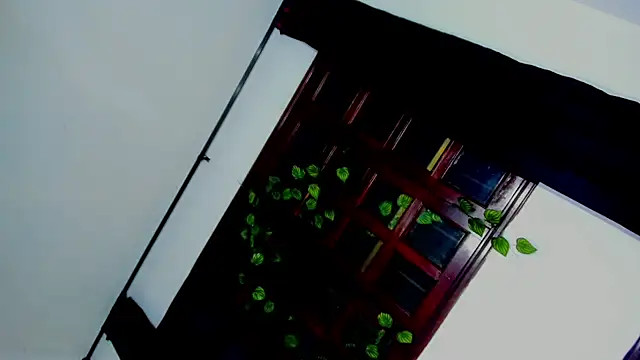 laaura dolll online show from 04/06/26, 05:30