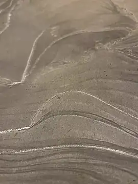 sharks90 online show from 03/24/26, 04:06