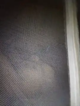 mylove-cute online show from 04/11/26, 09:52