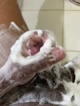 Chotiluli4 online show from 04/12/26, 08:52