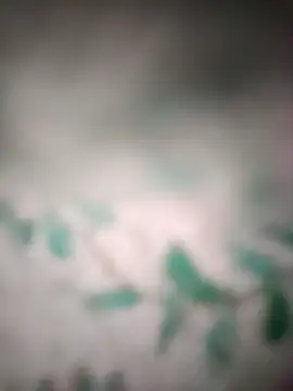 King night1 online show from 03/25/26, 10:05