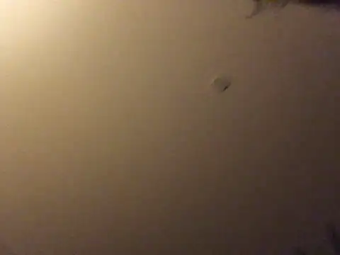Bigboadick online show from 06/15/26, 08:55