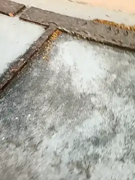 Desii rockstarr online show from 03/11/26, 01:11