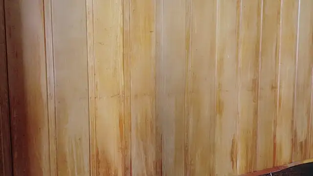 Snapshot of Eliffe_jhonson chatting on 03/16/26, 12:09 Eliffe jhonson online show from 03/16/26, 12:09