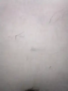 crazy queen 001 online show from 03/11/26, 07:36