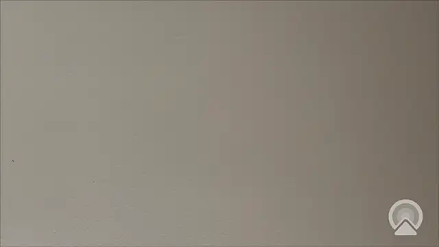 Shynesse21 online show from 03/26/26, 11:38