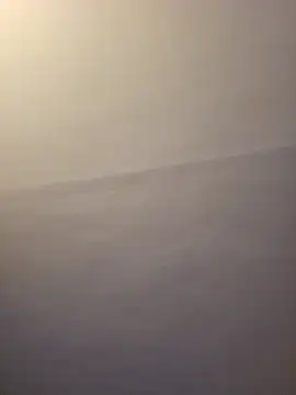 dufatcock online show from 03/22/26, 11:19