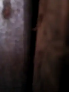 Any 120 online show from 04/26/26, 08:45