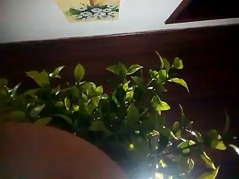 Snapshot of KikoKratos chatting on 07/06/26, 03:03 KikoKratos online show from 07/06/26, 03:03