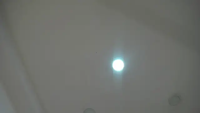 AlaskaFlowerss1  online show from 06/30/26, 03:07