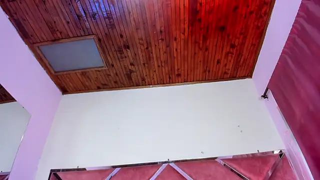 Snapshot of Megan_Dangelo chatting on 03/15/26, 12:33 Megan Dangelo online show from 03/15/26, 12:33