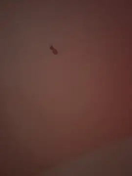 21cm19 online show from 03/29/26, 01:05