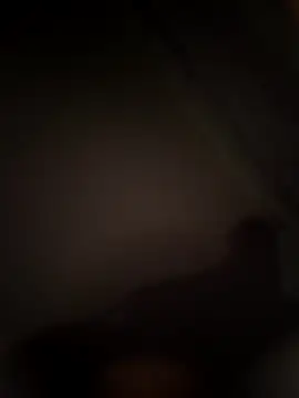 abdealrh online show from 03/22/26, 05:49