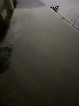 Wildlovee online show from 04/12/26, 08:58