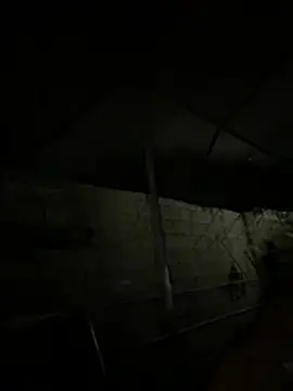 hpcouplee420 online show from 06/05/26, 04:41