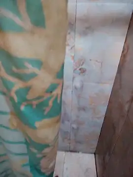 DosAlmasArdientesED online show from 04/20/26, 02:58