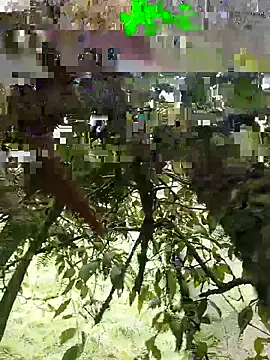 Snapshot of xjkedv chatting on 06/06/26, 06:45 xjkedv online show from 06/06/26, 06:45