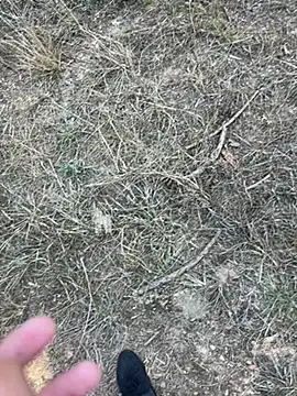 yingzi003 online show from 04/07/26, 07:42