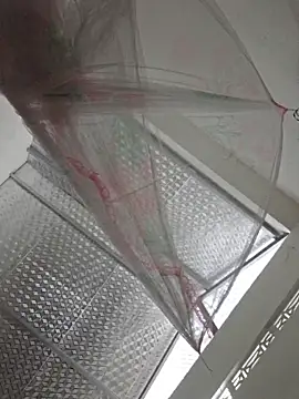 hanameo online show from 04/19/26, 01:43