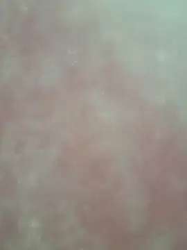 hanameo online show from 04/20/26, 02:42