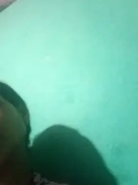 riyaa sexyy online show from 04/02/26, 05:54