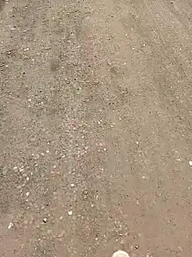 minauu s online show from 04/03/26, 05:00