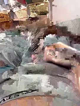 lucasss060 online show from 03/31/26, 08:31