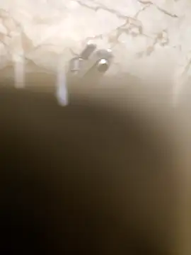 OBengaliBabuO online show from 03/16/25, 12:34