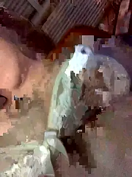 Latinshott online show from 04/06/26, 04:10