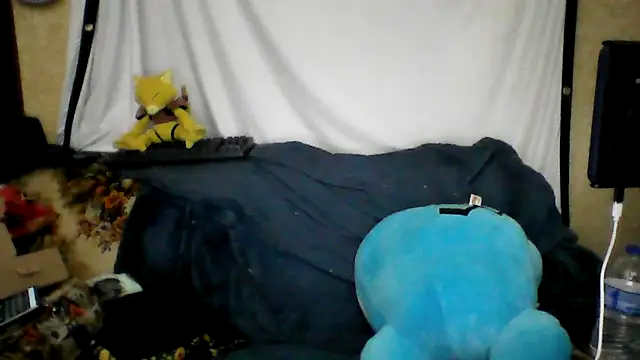 BriTheTopBear online show from 04/21/26, 02:51