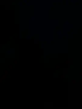 segbemal online show from 04/24/26, 11:29