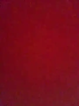Snapshot of niyak_tatat696 chatting on 05/19/26, 12:05 niyak tatat696 online show from 05/19/26, 12:05