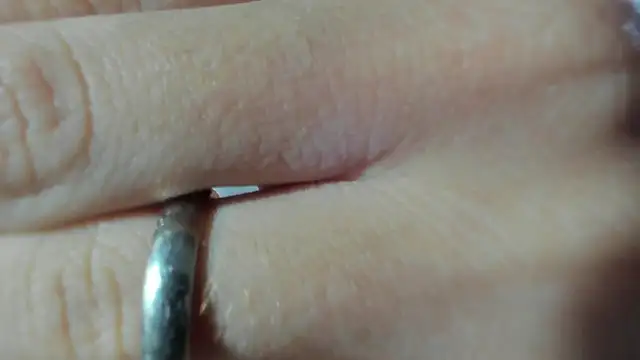 Venus atler online show from 04/18/26, 12:20