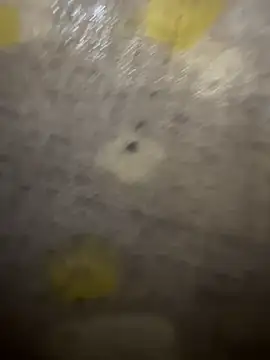 xezie online show from 04/10/26, 09:58