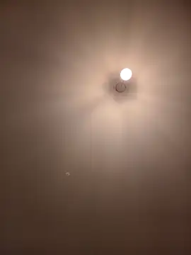 Snapshot of Dietosca chatting on 04/13/26, 02:28 Dietosca online show from 04/13/26, 02:28