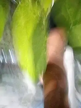 hot-daring online show from 04/14/26, 05:35