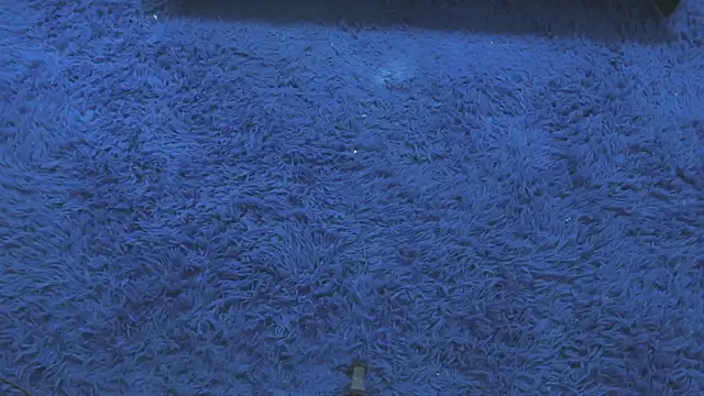 Mia-collins01 online show from 04/15/26, 12:34