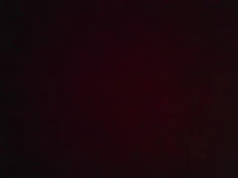 singaram190 online show from 06/16/26, 04:48