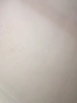 pammybarbwire online show from 04/23/26, 08:46